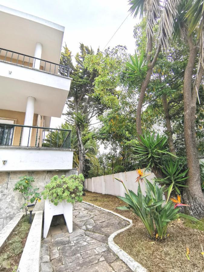 Botanique Guesthouse Cascais Luaran gambar