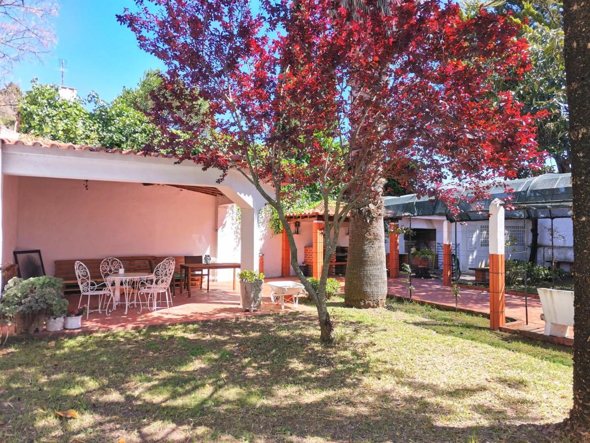 Botanique Guesthouse Cascais Luaran gambar